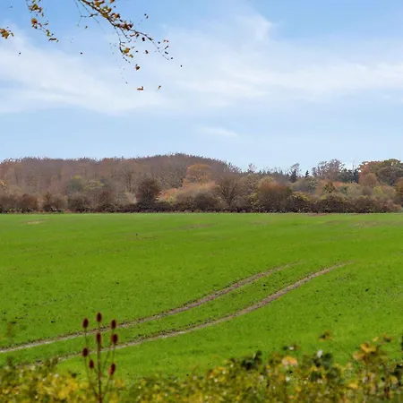 Comfortably In Scenic Surroundings